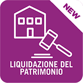 Software Liquidazione del Patrimonio Legge n. 3/2012