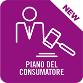 Software Piano del Consumatore Legge n. 3/2012